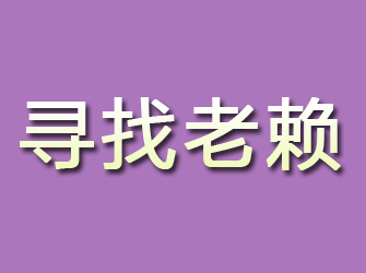 冠县寻找老赖