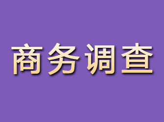 冠县商务调查